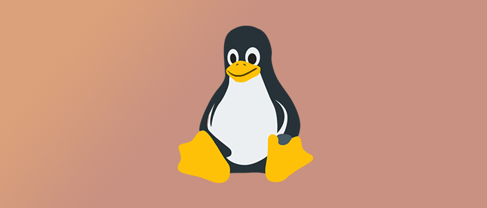 linux-logo-202009-grad5