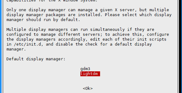 lightdm-default-display-manager-configuration