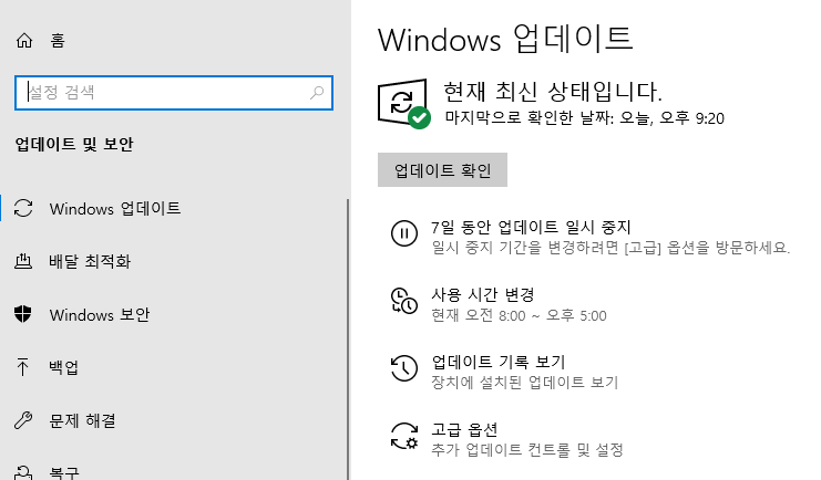 windows10-19h1-update-option