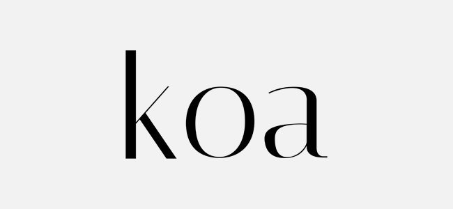 koajs-logo-silver